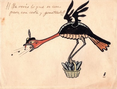pavo37
