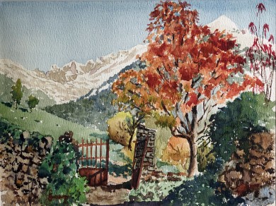 Puerta campos de Chesta y Lardana (1964) Plan, Valle de Gistau