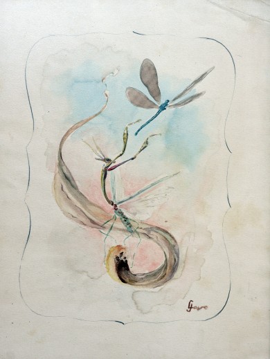 LIBELULA_DSC04932