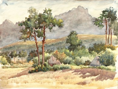 PAISAJE y PEÑAS