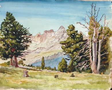 VALLE DE TENA