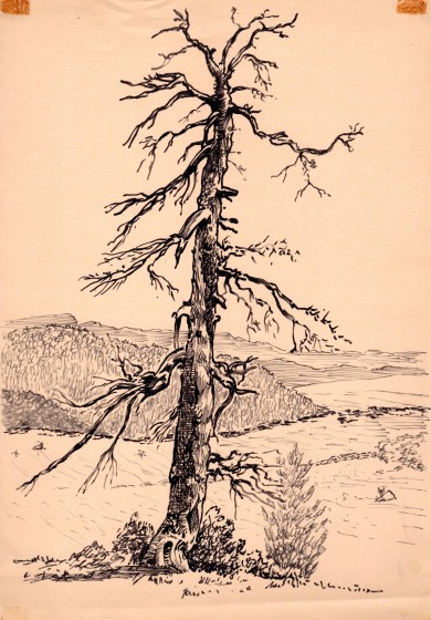 troncoseco