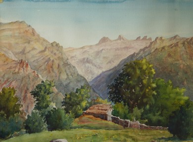 PAISAJE VALLE DE TENA