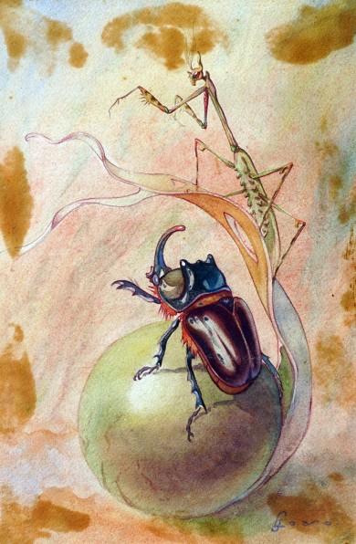 ORYCTES Y EMPUSA