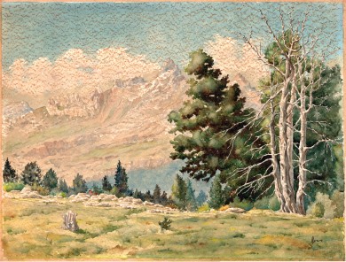 paisaje atacado hongos